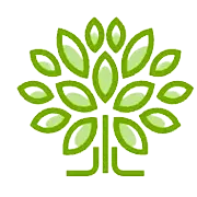 Moringa-magic